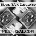 Sildenafil And Dapoxetine viagra5